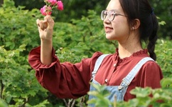 穿梭时空的侠客